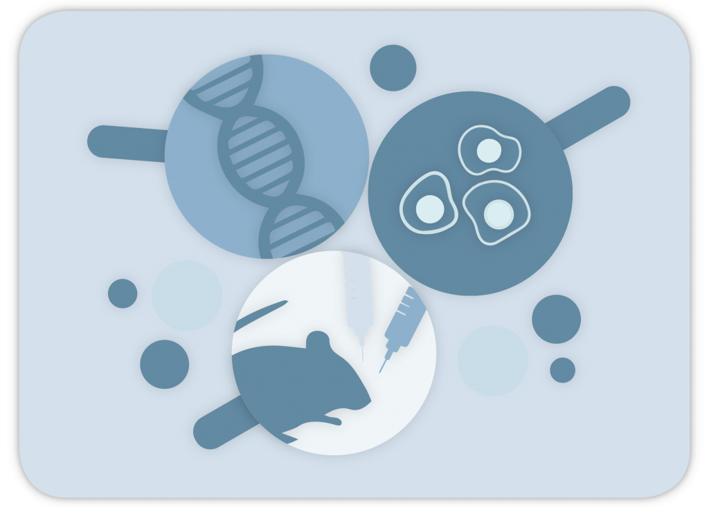 Representation of ISET isolated CTC and research