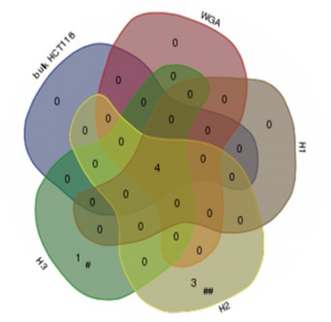 Molecular analyses