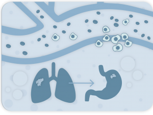 Illustration of circulating tumor cells