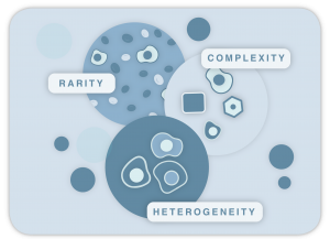 Illustration of the complexity to isolate tumor cells